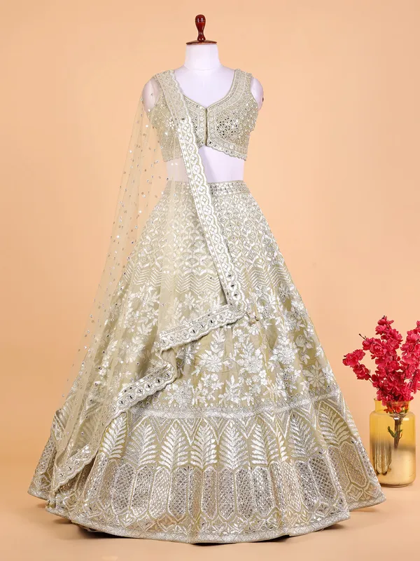 Stunning light green silk lehenga choli