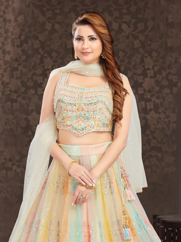 Stunning multi color net lehenga choli