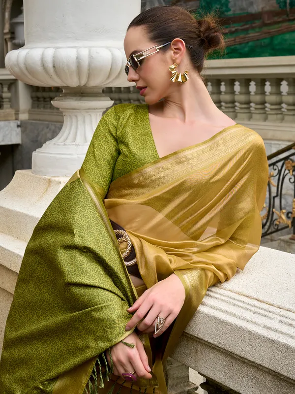 Stunning pastel green tissue silk saree for festive