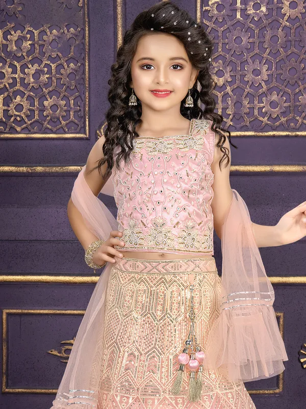 Stunning pink net lehenga choli with dupatta
