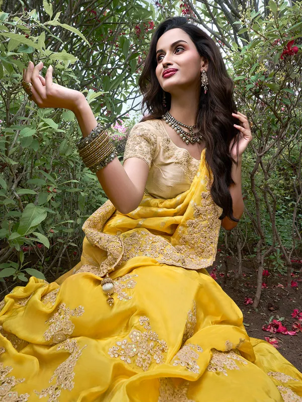 Stunning yellow saree in tissue silk