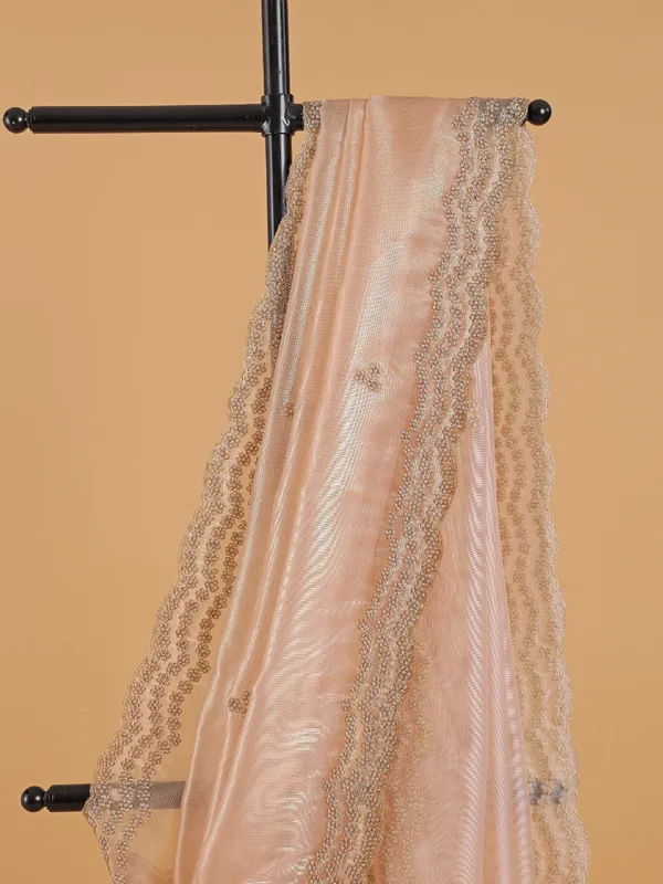 Stylish peach organza sree