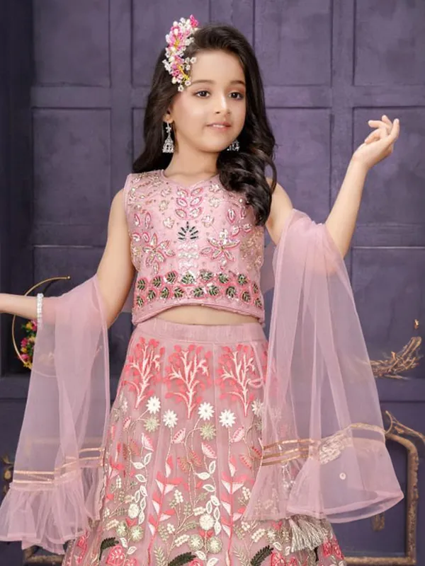Sweet pink gorgeous lahenga choli in net for girls