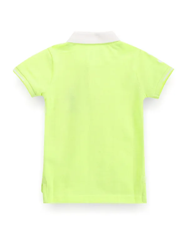 U S POLO ASSN plain light green cotton t-shirt