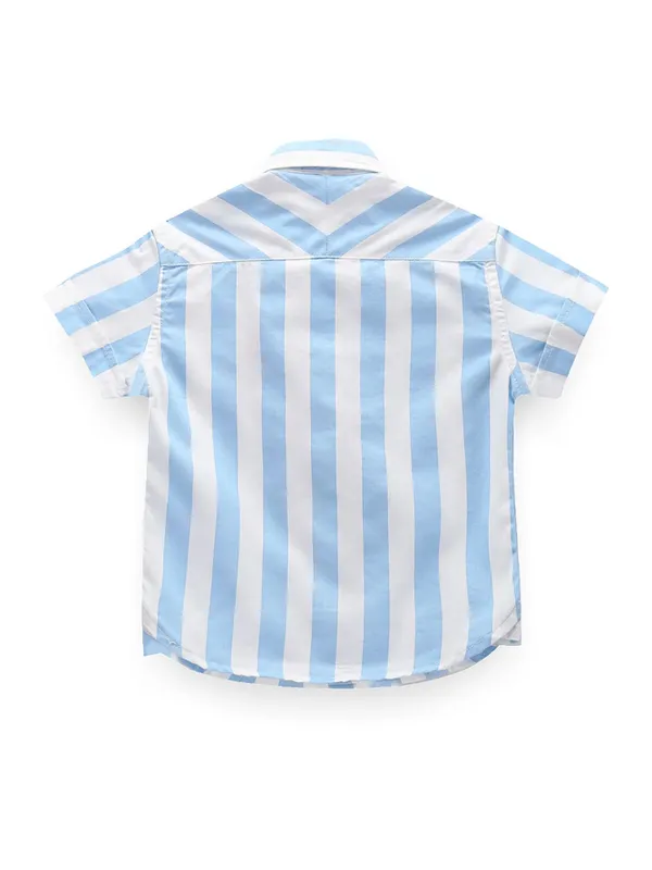 U S POLO ASSN sky blue stripe shirt in cotton