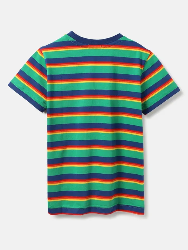 UCB stripe green t-shirt in cotton fabric