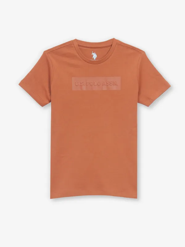 US POLO ASSN light brown cotton t-shirt
