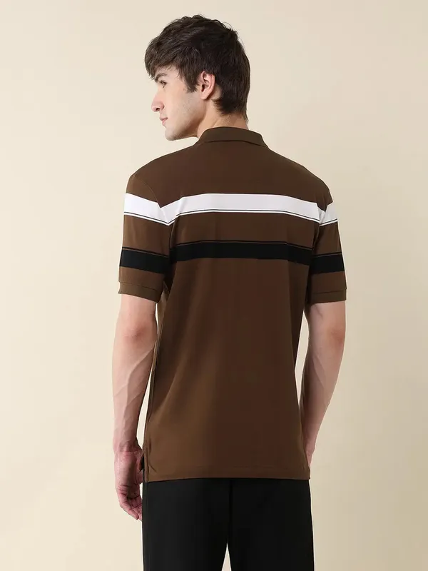 US POLO coffee cotton slim fit striped polo t-shirt