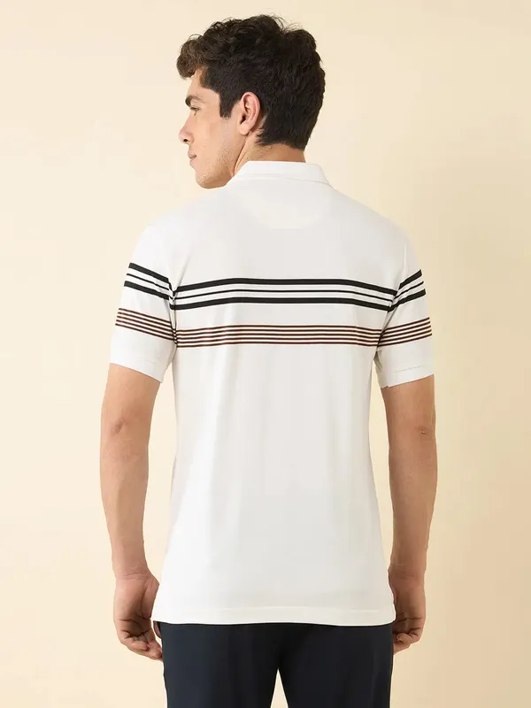 US POLO white striped cotton slim fit polo t-shirt for men