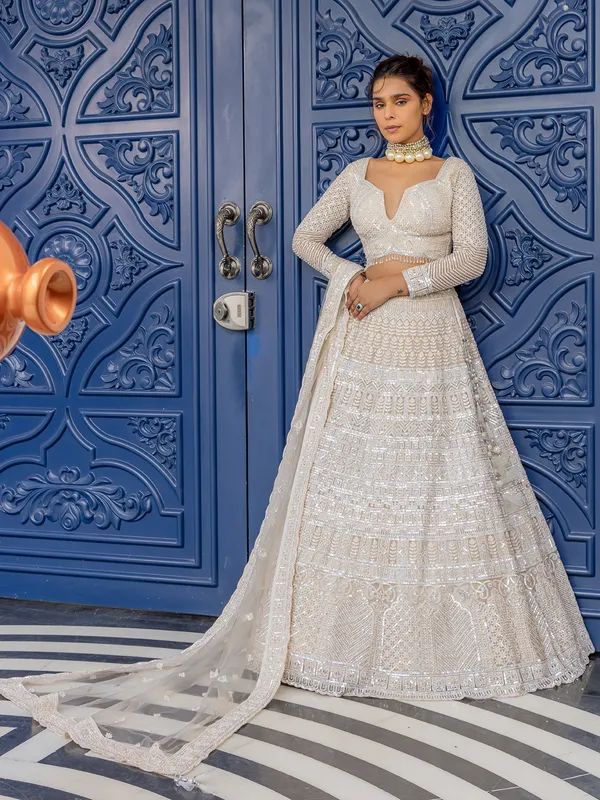 White gorgeous net lehenga choli