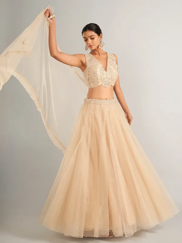 Wonderful beige net lehenga choli for wedding