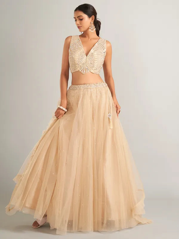 Wonderful beige net lehenga choli for wedding