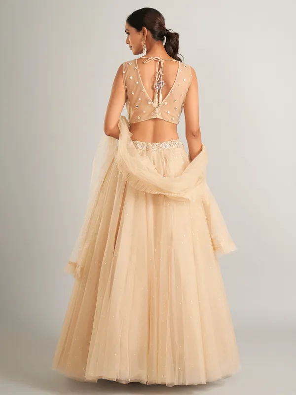 Wonderful beige net lehenga choli for wedding