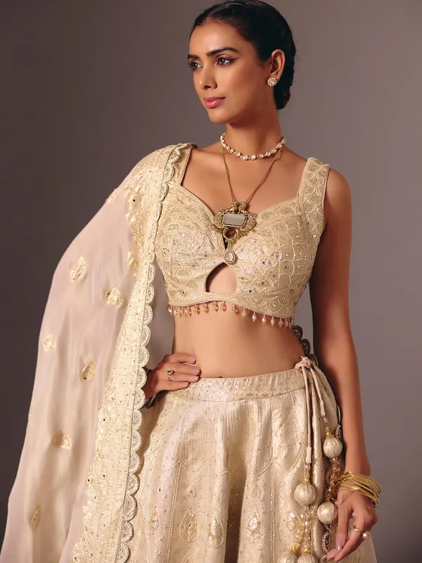 Gold banarasi tissue silk bridal lehenga choli