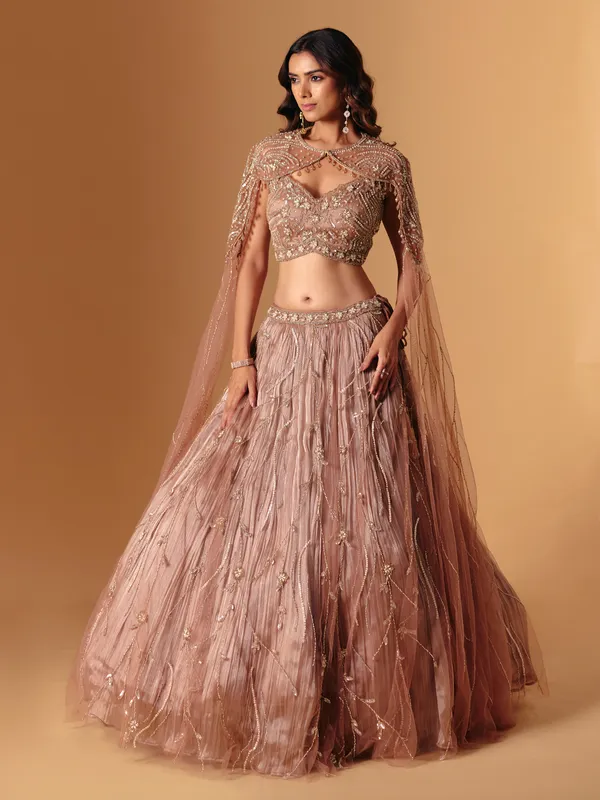 Brown net embellished lehenga choli for wedding wear