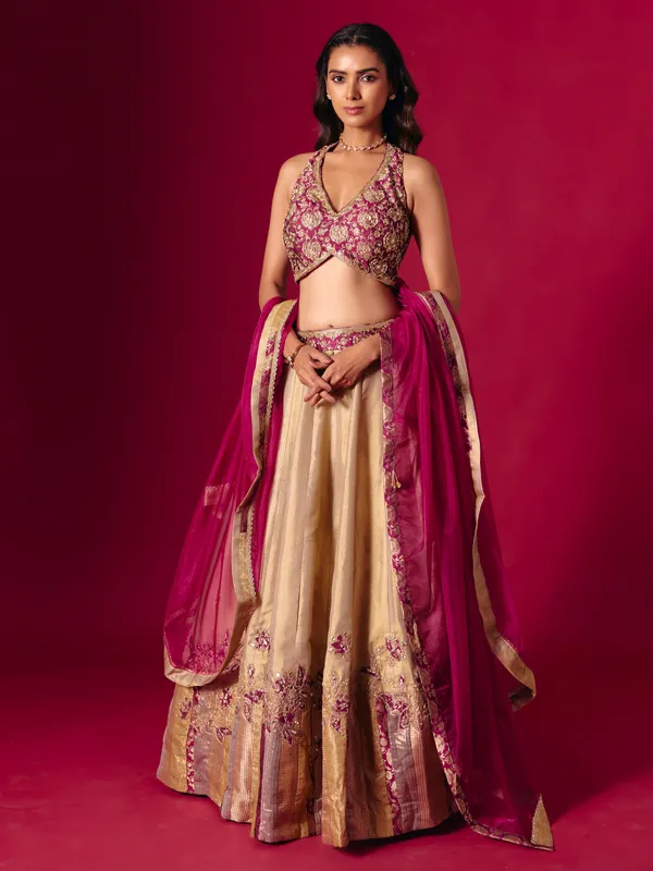 Wine and beige aabla zardosi lehenga choli