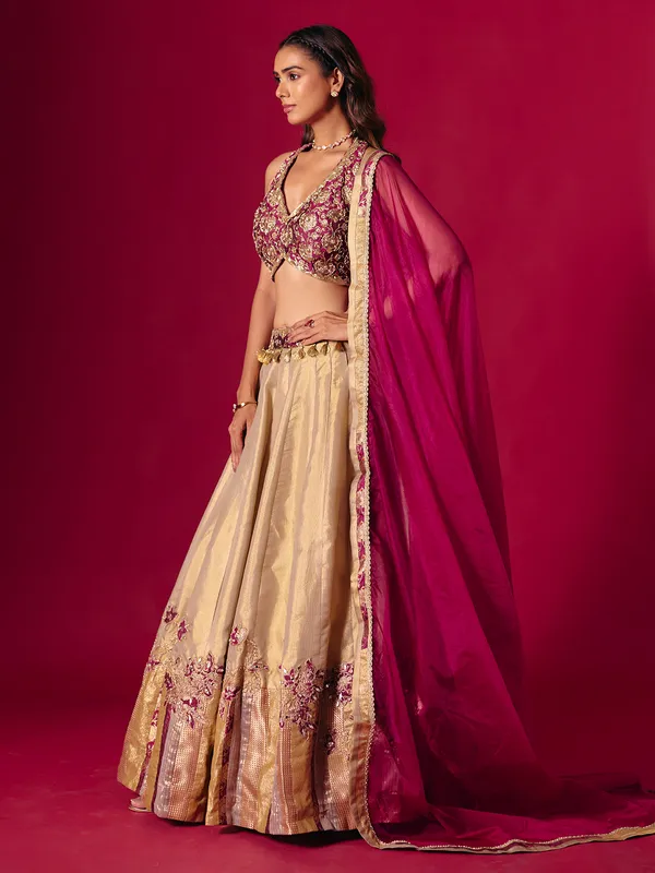 Wine and beige aabla zardosi lehenga choli