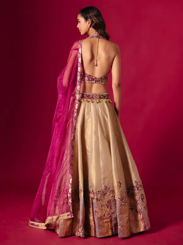 Wine and beige aabla zardosi lehenga choli