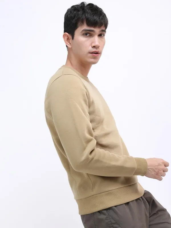 Men Solid Sweatshirts