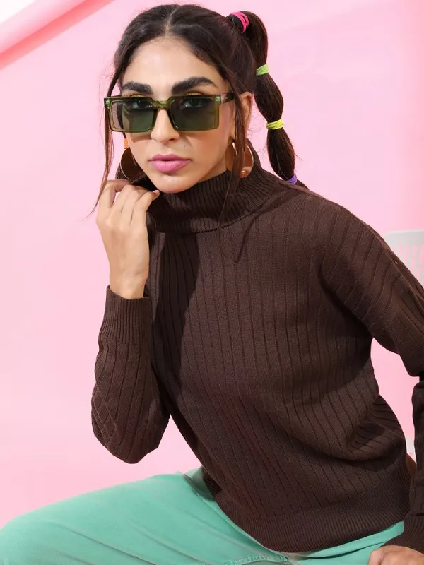 Tokyo Talkies Women Brown Turtle Neck Sweaters