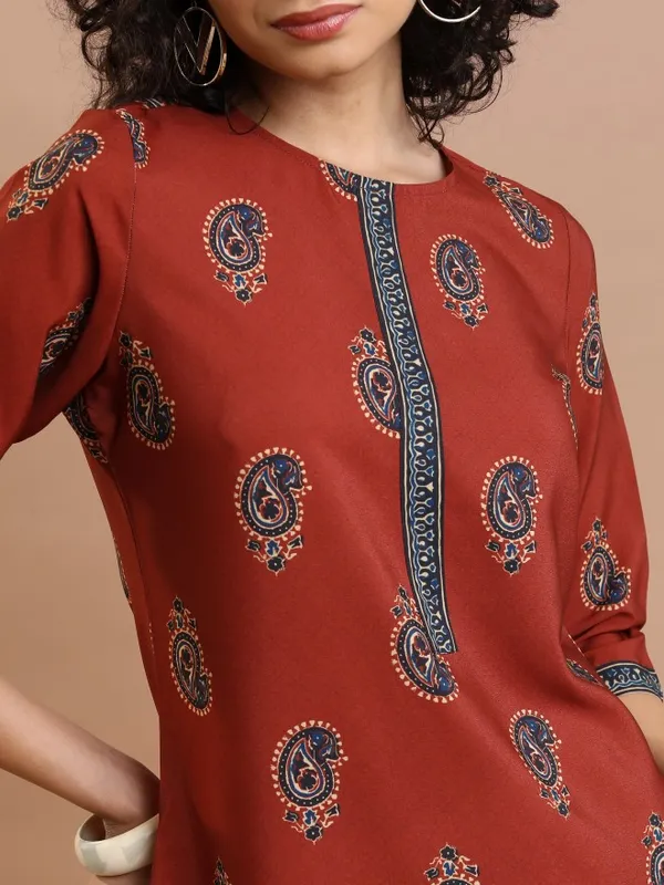  Vishudh  Women Terracotta Printed Straight Kurtas