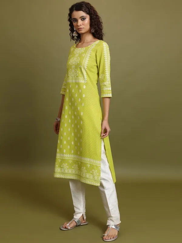  Vishudh  Women Green Embroidered Straight Kurtas