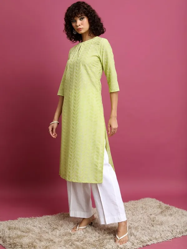 Embroidered Straight Kurta