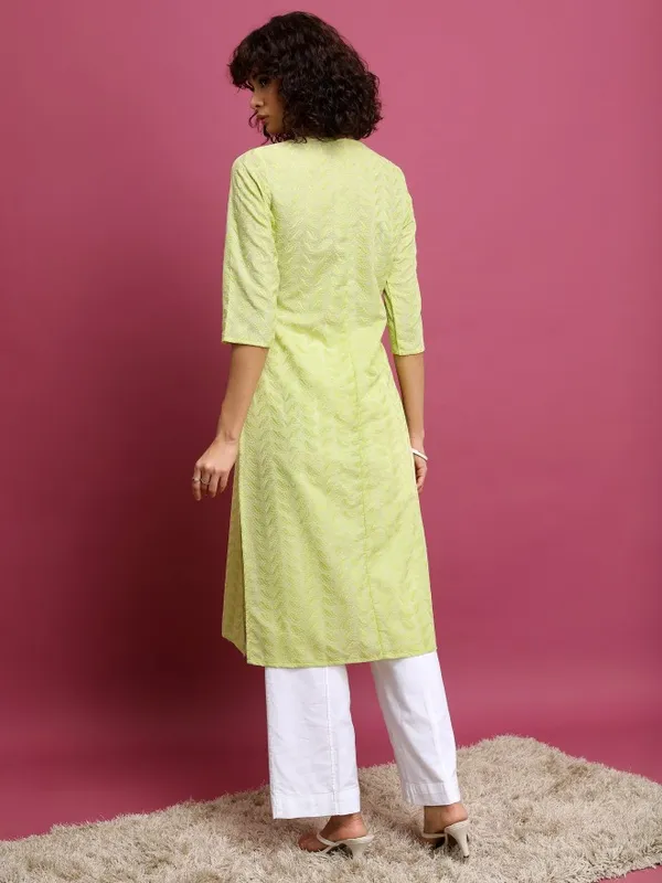 Embroidered Straight Kurta