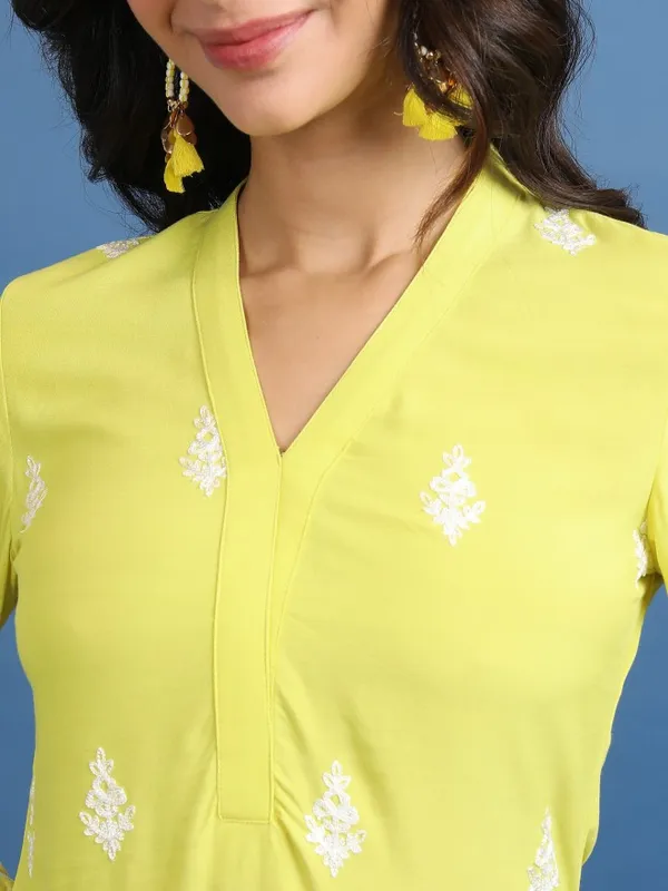 Embroidered Straight Kurta