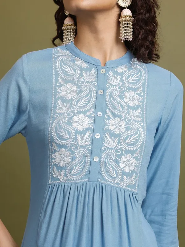 Embroidered Straight Kurta