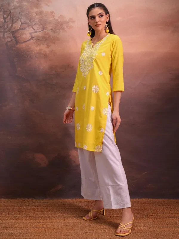 Embroidered Straight Kurta