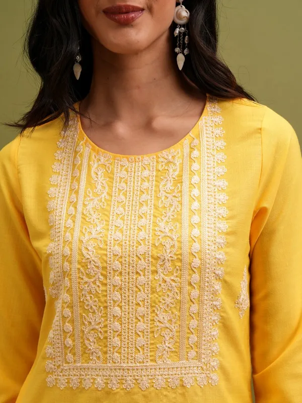 Embroidered Straight Kurta