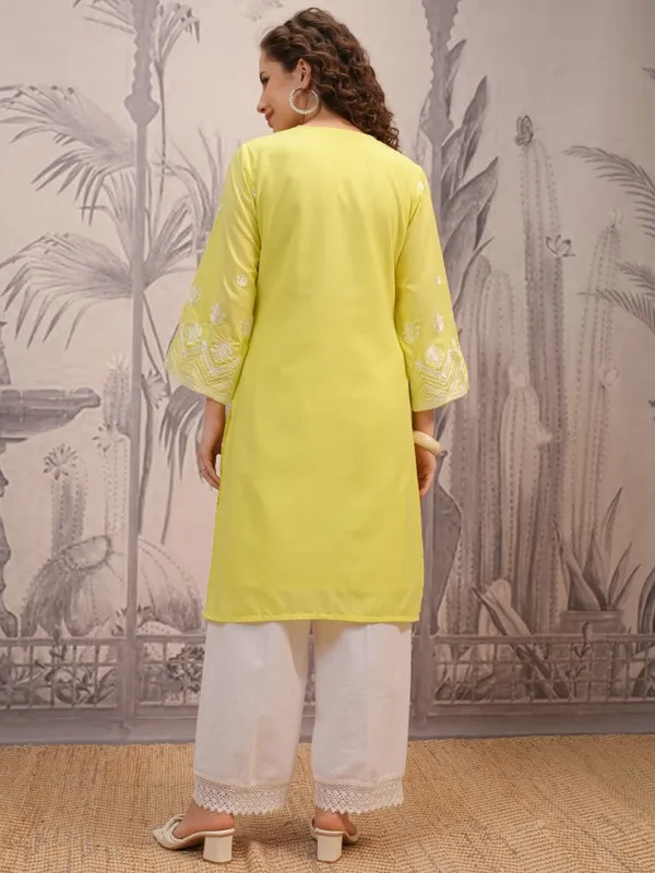 Embroidered Straight Kurta