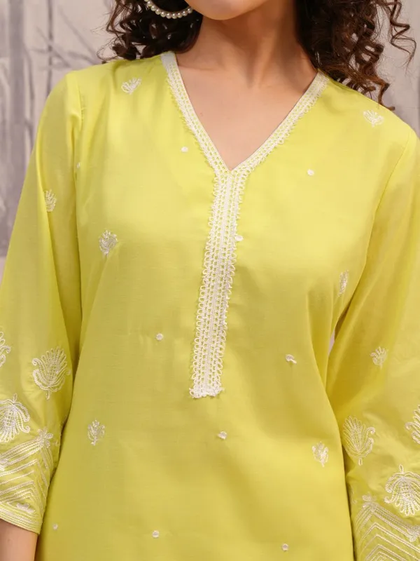 Embroidered Straight Kurta