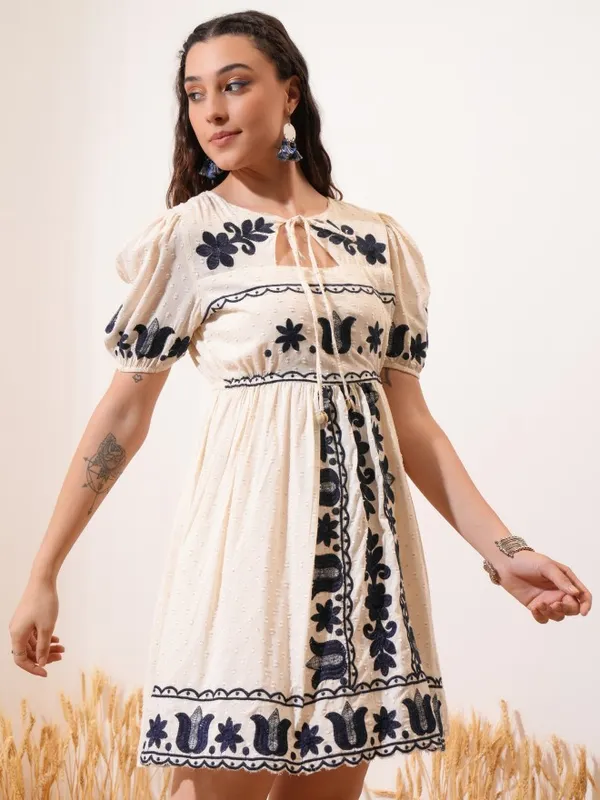 Embroidered Fit and Flare Dress
