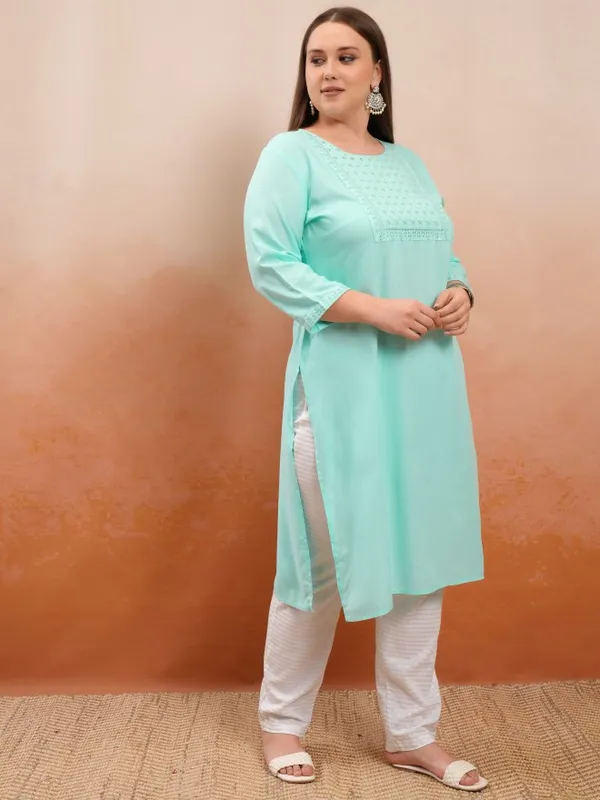 Embroidered Straight Kurta