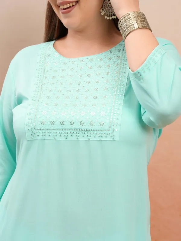 Embroidered Straight Kurta