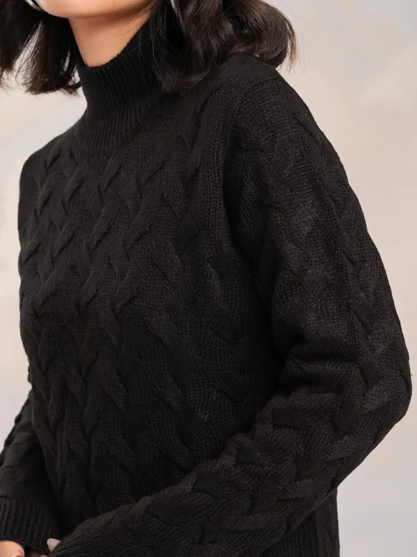 Tokyo Talkies Women Black Round Neck Sweater