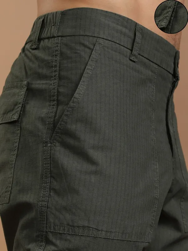 Highlander Men Olive Straight Fit Solid Cargos