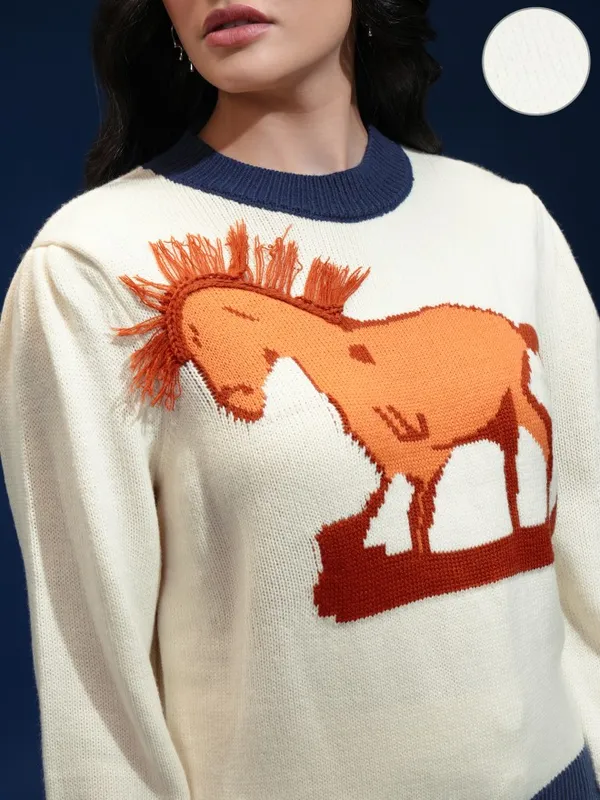 Women Self Design Sweater