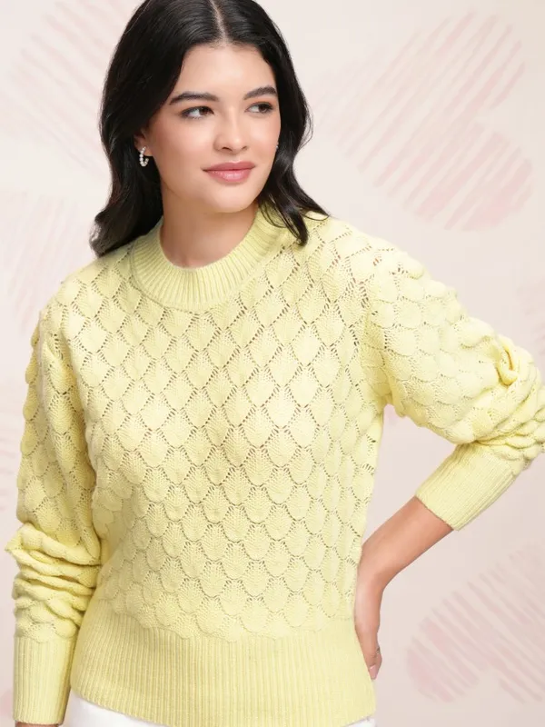 Women Self Design Sweater