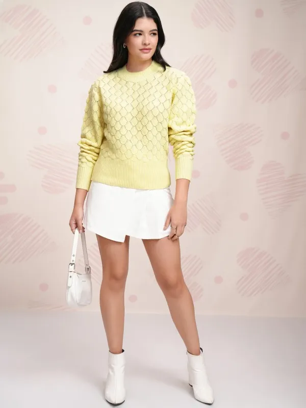 Women Self Design Sweater