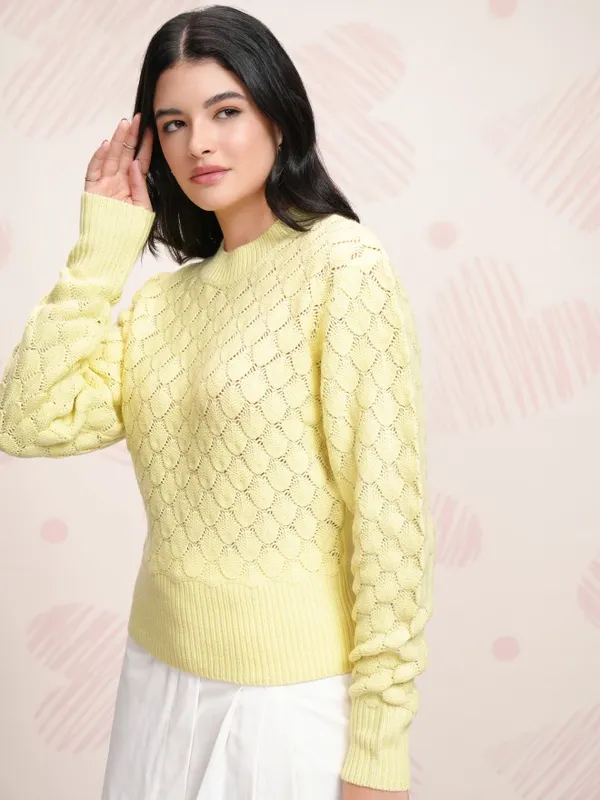 Women Self Design Sweater