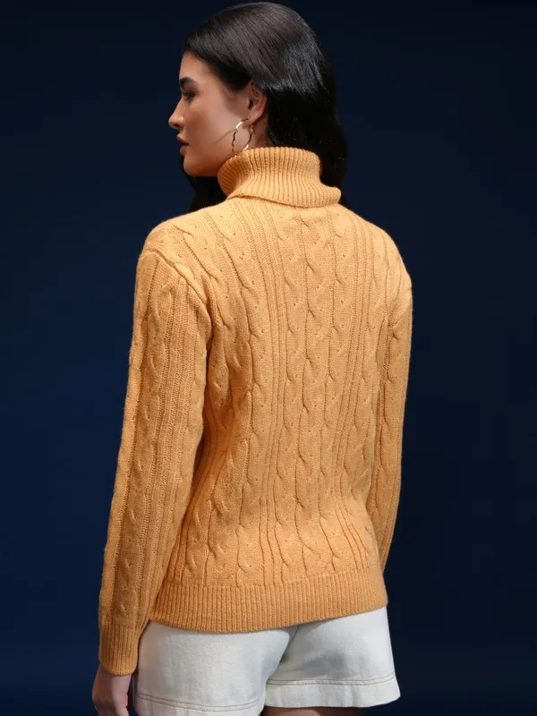 Women Self Design Sweater