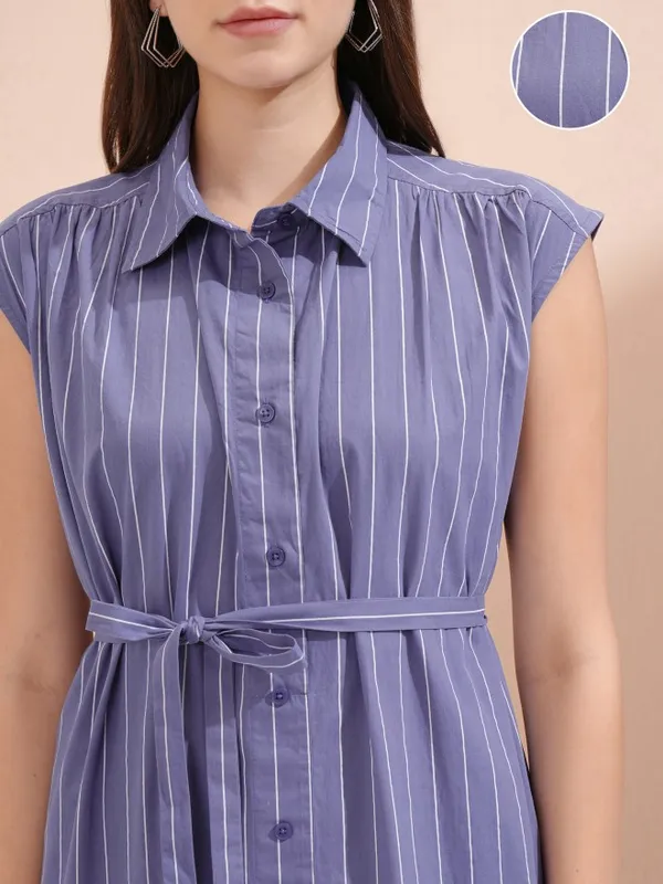 Striped Shirt Dress