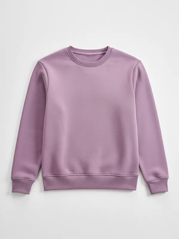 Highlander Men Purple Round Neck Pullover Sweatshirt