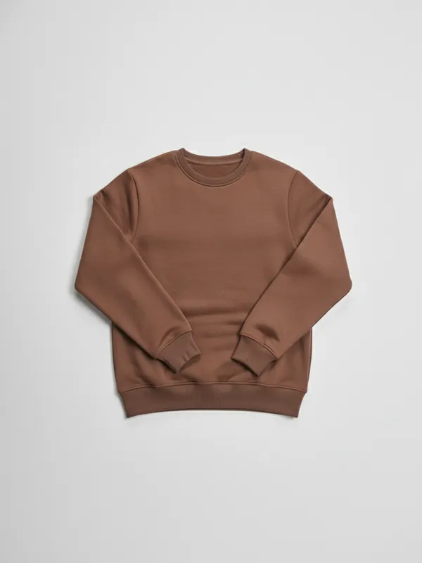 Highlander Men Brown Round Neck Pullover Sweatshirt