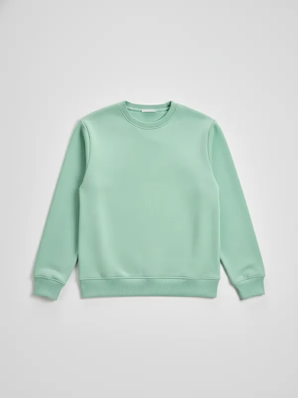 Highlander Men Green Round Neck Pullover Sweatshirt