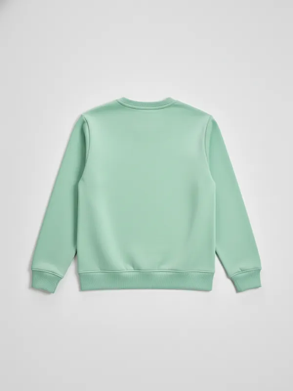 Highlander Men Green Round Neck Pullover Sweatshirt