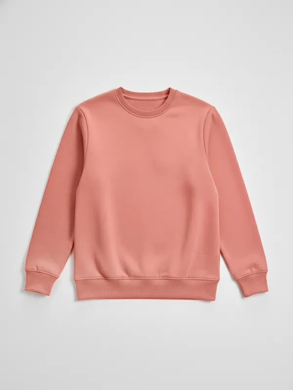 Highlander Men Peach Round Neck Pullover Sweatshirt